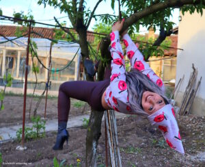 Dienstag, wie üblich!